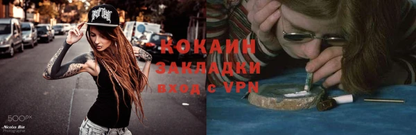 тгк Бородино