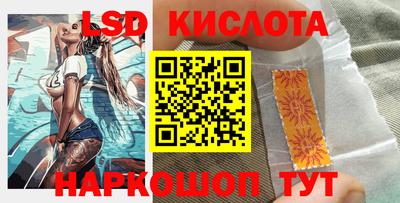 стаф Дубна