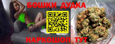 стаф Дубна