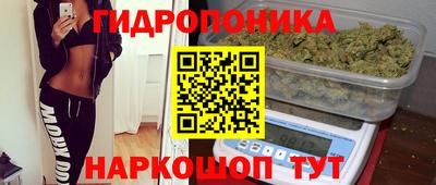 стаф Дубна