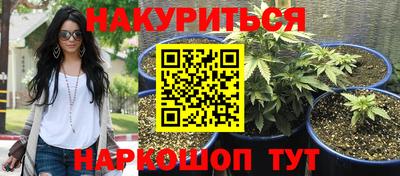 прущие крисы Донецк
