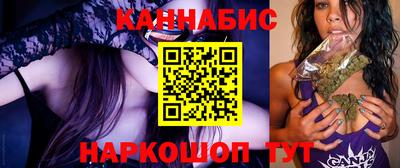 стаф Дубна