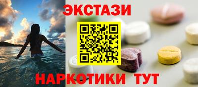 стаф Дубна