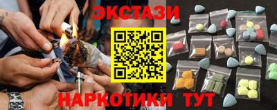 стаф Дубна