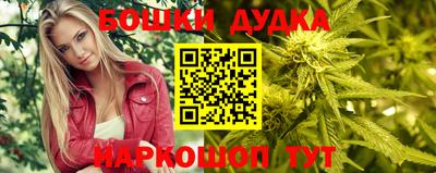стаф Дубна