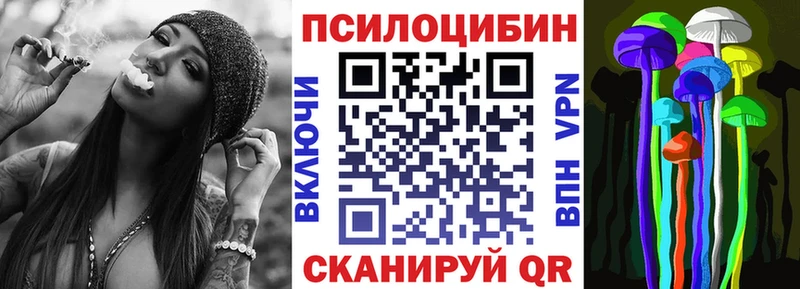 сколько стоит  Вичуга  Галлюциногенные грибы Psilocybe 