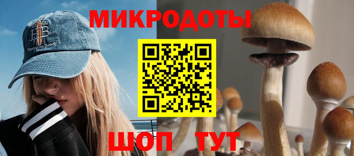 Галлюциногенные грибы мицелий Вичуга