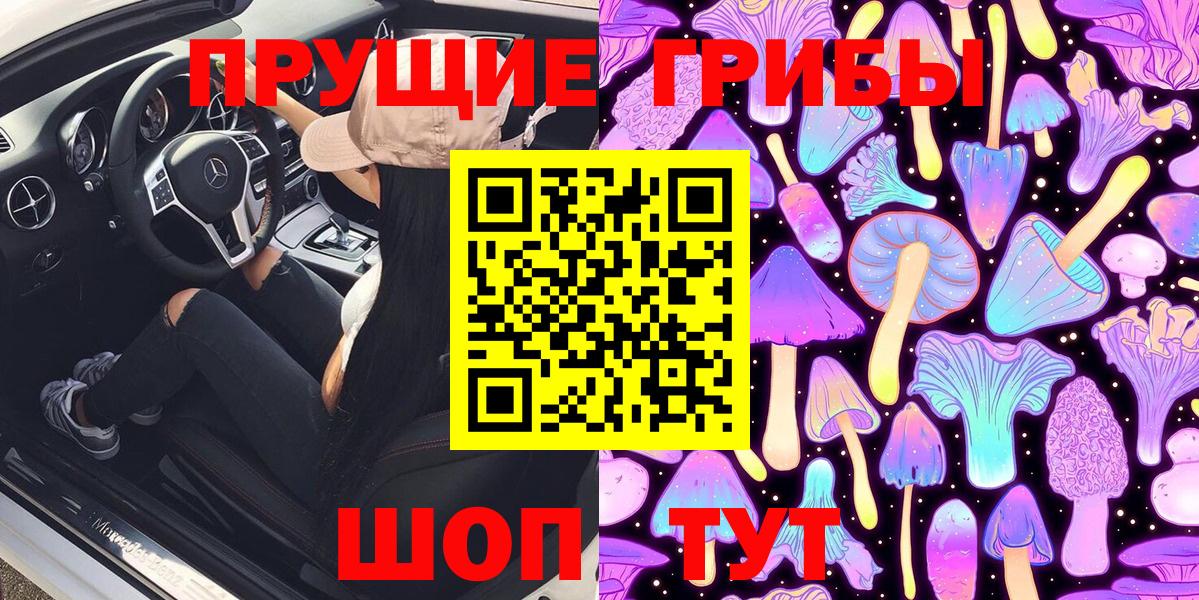 Вичуга  Галлюциногенные грибы Psilocybine cubensis  Вход с VPN 