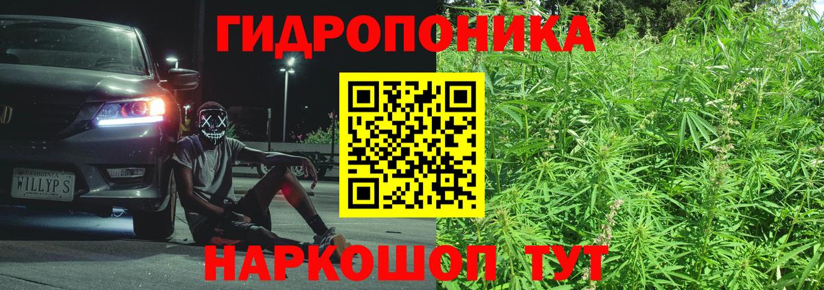 Бошки марихуана гибрид Вичуга